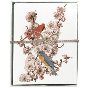 Pink Blossom Bird Boxed Greeting Cards