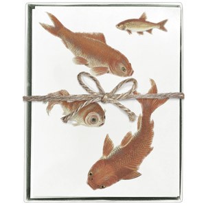 Goldfish Boxed Greeting Cards