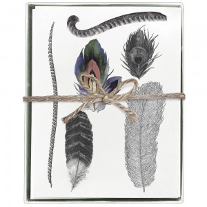 Feathers Boxed Greeting Cards (Blank)