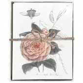 Camellia Boxed Greeting Card S/8