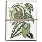 Striped Leaves Boxed Greeting Cards S/8