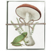 Frog And Toadstool Boxed Greeting Card S/8