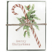 Candy Cane Holly Boxed Greeting Card S/8
