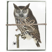 Owl Branch Boxed Greeting Card S/8