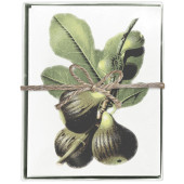 Figs Boxed Greeting Cards S/8