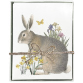 Rabbit Daffodils Boxed Greeting Card S/8