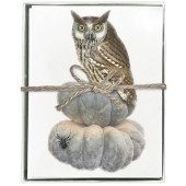 Owl Pumpkins Boxed Greeting Cards S/8