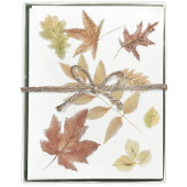 Scattered Leaves Boxed Greeting Card S/8