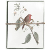 Little Red Bird Boxed Greeting Cards S/8