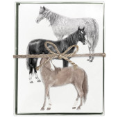 Three Horses Boxed Greeting Cards S/8