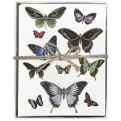 Dark Butterflies Boxed Greeting Card S/8