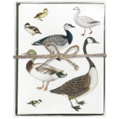 Water Fowl Boxed Greeting Card S/8