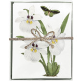 Moth Orchid Boxed Greeting Card S/8