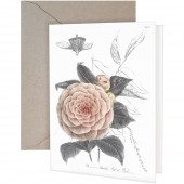 Camellia Greeting Card