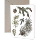Pine Branches Greeting Card