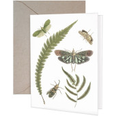 Fern Insects Greeting Card