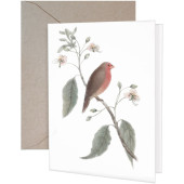 Little Red Bird Greeting Card