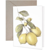 Three Lemons Greeting Card