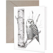 Birch Owl Greeting Card