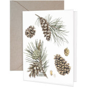 Pinecone Branches Greeting Card
