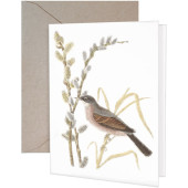 Pussywillow Bird Greeting Card
